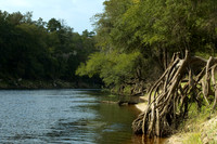 Suwannee River