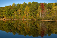 Reflections in the fall