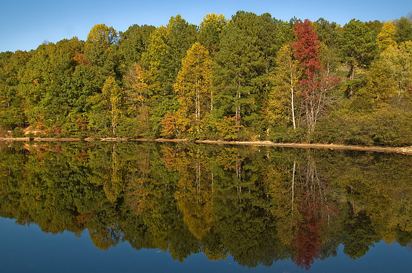 Reflections in the fall
