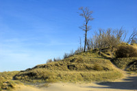 Lake Michigan dune