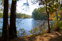 At the lake