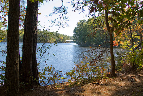 At the lake