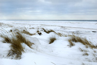 Lake Michigan ice on the dunes