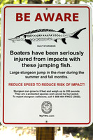 Sturgeon warning