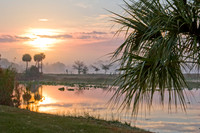 Southwest Florida sunrise