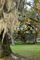 Betty's back yard