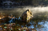 Morning mist